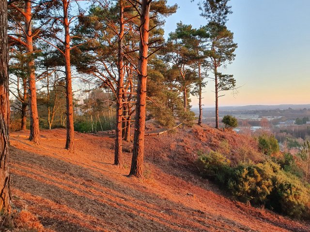 view of the hill